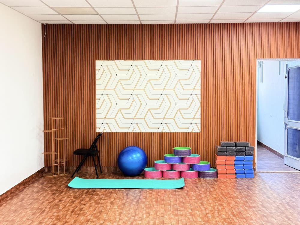 Inside the Yoga Se Hoga studio in Phase 5, Mohali: wooden walls, mats, gym balls, blocks and yoga wheels